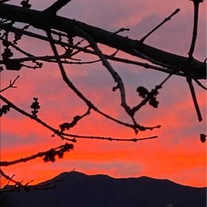 Meet your Posher, Bonita